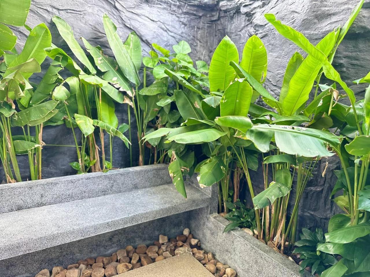 Raing Phnom Bungalow 캄폿 외부 사진